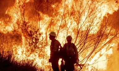 ABD'deki orman yangınlarında ölü sayısı 27’ye yükseldi