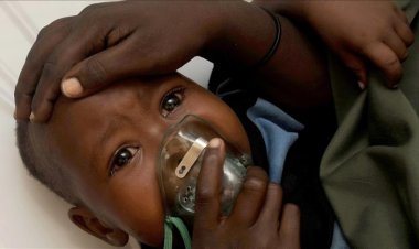 Nijerya'da Lassa ateşi hastalığı nedeniyle ölümler artıyor