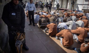 İşgalci İsrail zindanlarındaki işkencenin engellenmesi çağrısı