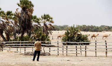 ABD, Güney Afrika'da beyazlara mülteci merkezi kuracak
