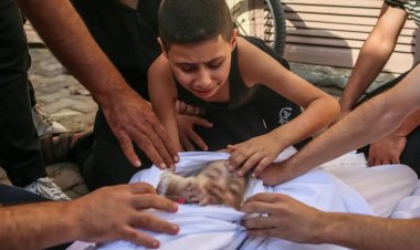 Rejima sîyonîst di nav 21 rojan de ji 500î zêdetir zarokan şehîd kir