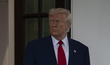 Trump: Harvard 'yolunu kaybetmiş' federal fon almamalı