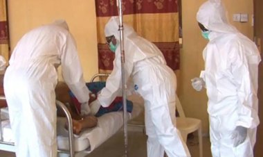 Nijerya'da Lassa ateşi salgını: 127 ölü