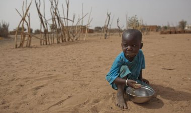 BM'den iklim değişikliğinin 2050'ye kadar 80 milyon kişiyi daha açlığa itebileceği uyarısı