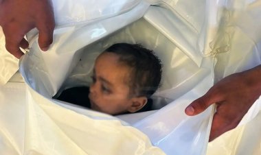 Gazze'de katliam sürüyor: Son 24 saatte 46 şehit, 73 yaralı