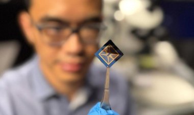 Bu küçük çip hem göz gibi görüyor hem beyin gibi düşünüyor