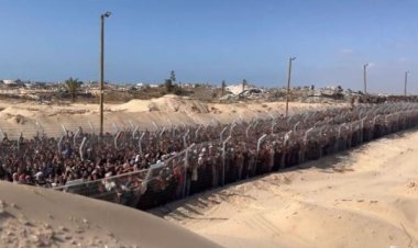 BM Rapörtörü Albanese: Gazze'de aç bırakmak, ardından yiyecek için öldürmek tam bir zulüm