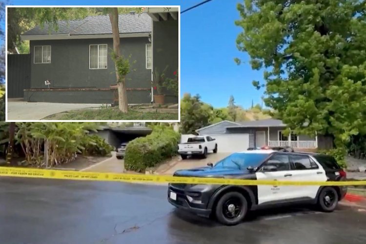 Los Angeles'ta 2 İsrailli iş adamı öldürüldü