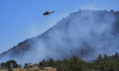 Aşırı sıcakların etkisindeki Avrupa yangın alarmı veriyor