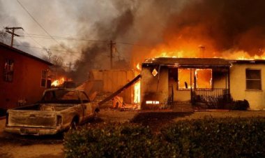 California'da çıkan yangınlar 29 bin hektardan fazla alana yayıldı