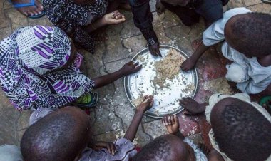 Nijerya'da 161 milyon kişi gıda güvencesizliğiyle karşı karşıya