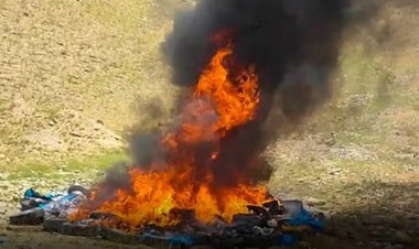 Afganistan'da 7 ton haşhaş imha edildi