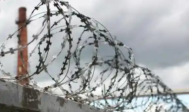 İtalya, cezaevlerini boşaltmak için 10 bin kişiyi tahliye edecek