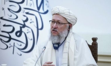 İslam Emirliği’den gençlere çağrı: Geleceği yabancılar değil, siz inşa edeceksiniz