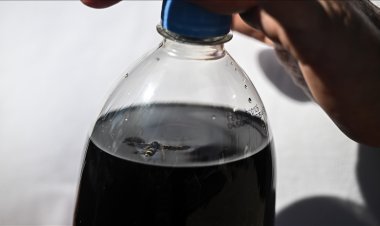 Kolasından ölü arı çıkan kişi, ABD'li küresel firmaya karşı hukuk mücadelesi başlattı