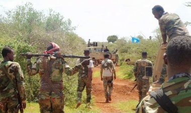 Somali'de düzenlenen operasyonda 100’den fazla Eş-Şebab Üyesi yaşamını yitirdi