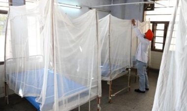 Hindistan'da beyin yiyen amipten 19 kişi öldü