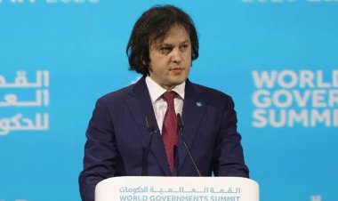 Gürcistan Başbakanı, Batılı büyükelçileri ülke işlerine karışmakla suçladı