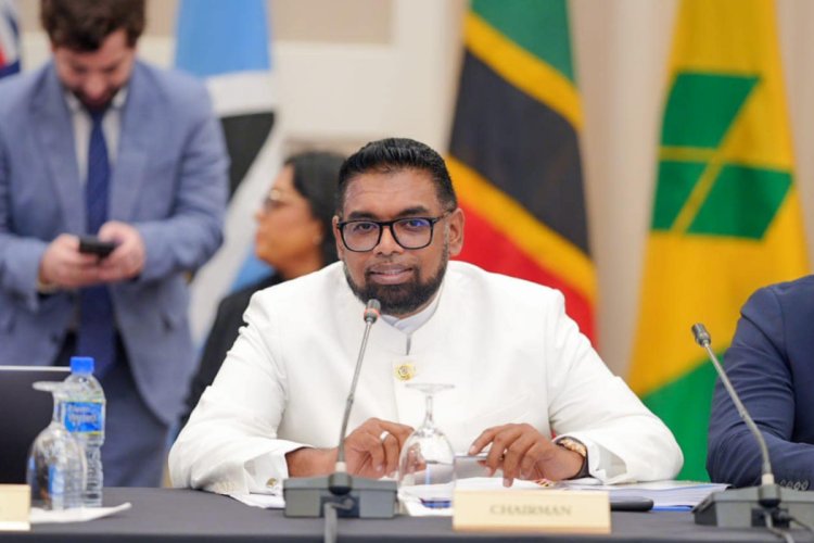 Dr. Mohamed İrfaan Ali, Guyana'da yeniden zafer kazandı
