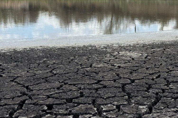 Dünya Meteoroloji Örgütü: Dünyanın su kaynakları giderek artan bir baskı altında