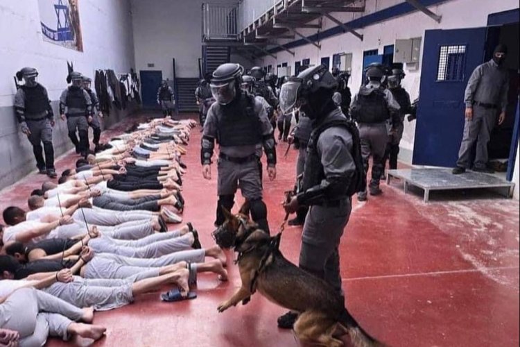 İşgalci İsrail zindanlarında 75 Filistinli şehit edildi