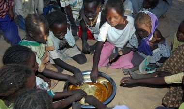 FAO'ya göre, 2024 sonu itibarıyla yaklaşık 673 milyon kişi açlıkla karşı karşıya