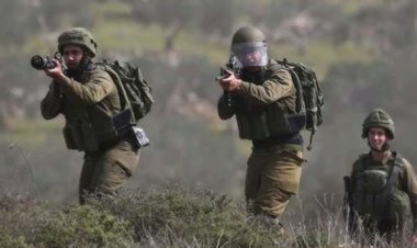 İşgalci İsrail ordusu, Batı Şeria'da zeytin hasadı yapanlara saldırdı