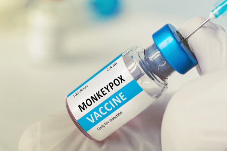 DSÖ'den M çiçeği virüsü için küresel salgın uyarısı