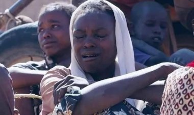 BM: Faşir’de kadın ve çocuklara yönelik şiddet artıyor