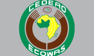 Batı Afrika bloğu, Trump'ın 'Hristiyan katliamı' iddialarının ardından Nijerya'ya dayanışma gösterdi