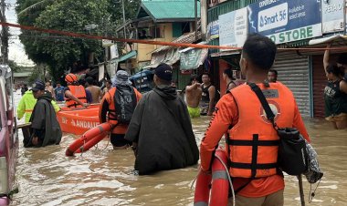 Filipinler'de Kalmaegi Tayfunu'nda ölenlerin sayısı 114'e yükseldi