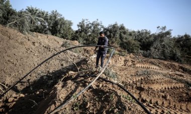 BM: İsrail saldırıları sonucu Gazze'de tarım altyapısının yüzde 89'u hasar gördü