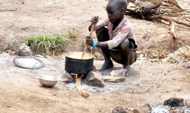 Afrika ülkesi Malavi'de gıda krizi