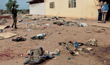 IOM Direktörü: Sudan'daki insani kriz eşi görülmemiş düzeyde