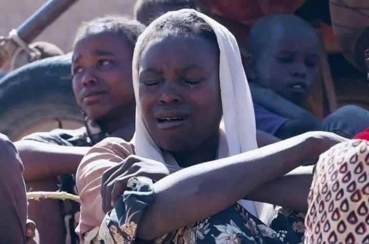 BM: Faşir’de kadın ve çocuklara yönelik şiddet artıyor