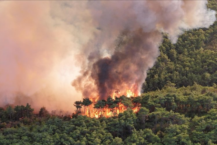 İran, şiddetlenen orman yangınlarına müdahale için uluslararası yardım çağrısında bulundu