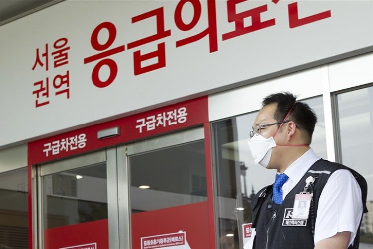 Güney Kore'de Afrika domuz vebası vakasından dolayı kırmızı alarm ilan edildi