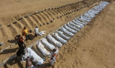 İsrailli insan hakları örgütleri: 2025, İsrail işgalinde Filistin için 1967'den bu yana 'en ölümcül yıl'