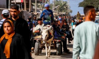 Batı’ya göre Gazze’de hayat hiyerarşisi: Tedavi için Gazze'den eşekler çıktı, çocuklar kaldı