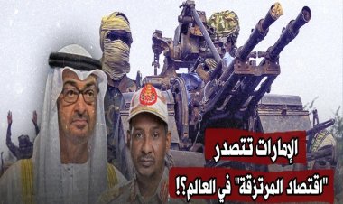 BAE, küresel paralı asker ekonomisinin baş aktörü mü?