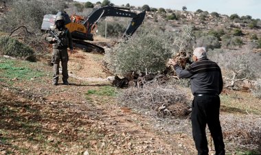 Filistinli 72 bin çiftçi aile İsraillilerin saldırılarından dolayı yardıma muhtaç