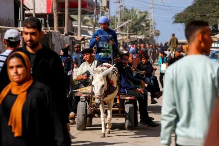 Batı’ya göre Gazze’de hayat hiyerarşisi: Tedavi için Gazze'den eşekler çıktı, çocuklar kaldı