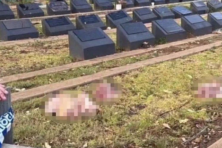 Avustralya'nın Sydney kentinde Müslüman mezarlığına domuz kafaları bırakıldı