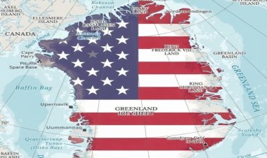 Danimarka'nın ABD Büyükelçisi'nden Grönland'ın ABD bayrağıyla paylaşılmasına tepki