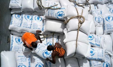 ABD, Somali hükümetine yardımı kesti