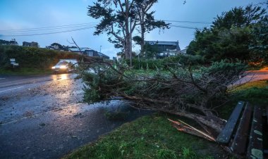 Fransa'da etkili olan Goretti Fırtınası nedeniyle 380 bin hane elektriksiz kaldı