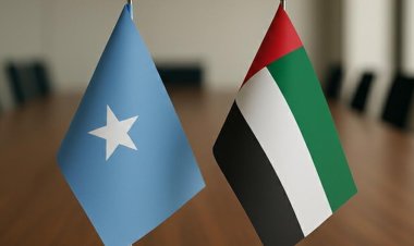 Somali, BAE ile güvenlik ve savunma alanındaki tüm anlaşmaları iptal etti