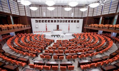 TBMM'den ortak Yeni Zelanda bildirisi