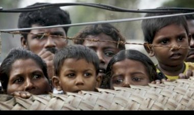 Tamiller'den savaş suçlarıyla ilgili soruşturma talebi