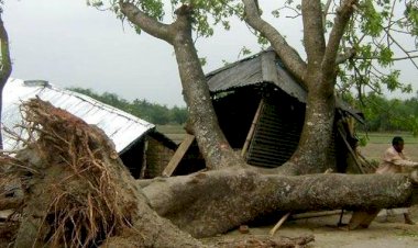 Bangladeş'te fırtına: Çok sayıda ölü var
